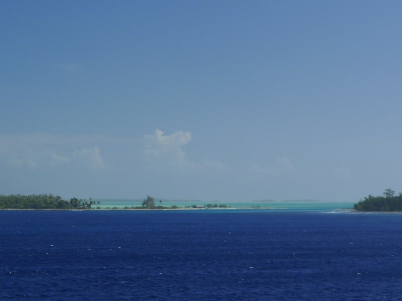 p1040239.jpg