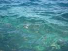 img_0008_small.jpg