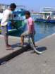 p1010450_small.jpg