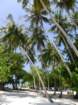 p1010561_small.jpg