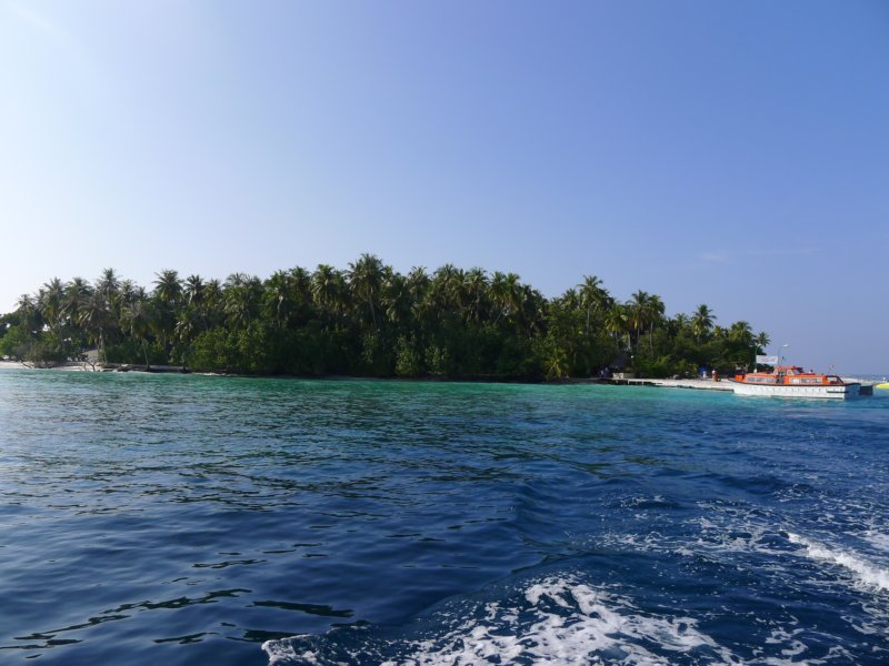 p1010574.jpg